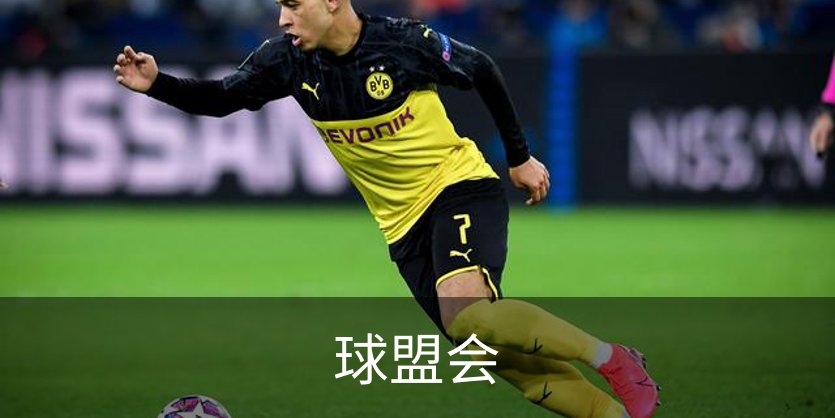 球盟会概况
